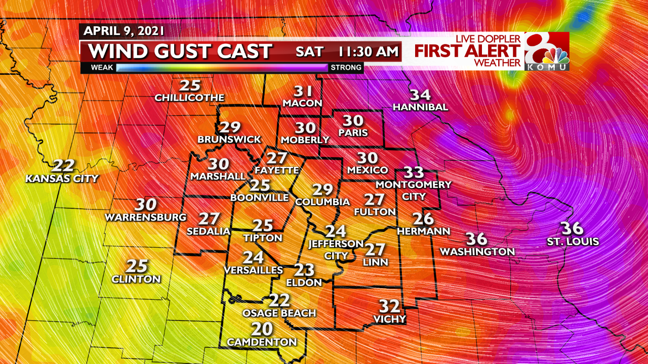 ECMWF ADI Wind Gust Cast.png